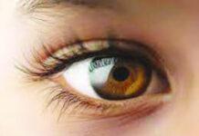 ನ.2:ದರ್ಬೆ ಕಾರ್ ಟೆಕ್ ಆವರಣದಲ್ಲಿ ಉಚಿತ ಕಣ್ಣಿನ ತಪಾಸಣಾ ಶಿಬಿರ