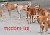 ಮುಂಡೂರಿನಲ್ಲಿ ಹೆಚ್ಚಿದ ಬೀದಿ ನಾಯಿಗಳ ಹಾವಳಿ..!