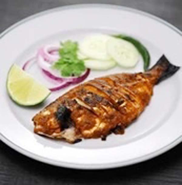 WhatsApp Image 2025-10-29 at 10.24.49 AM