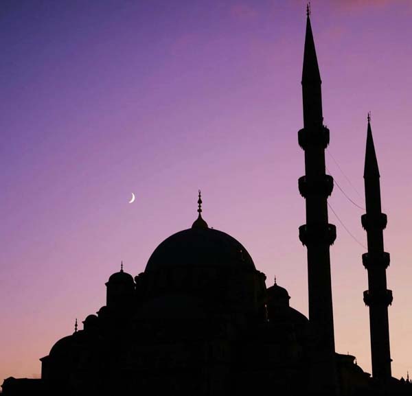 WhatsApp Image 2025-10-31 at 10.19.22 AM