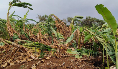 WhatsApp-Image-2025-03-24-at-6.15.50-PM