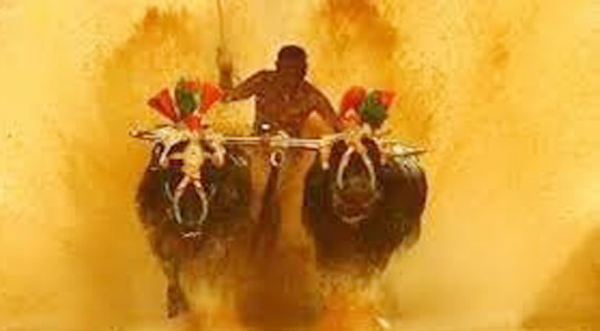 WhatsApp Image 2025-11-16 at 2.30.36 PM