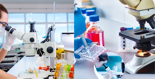 best-diagnostic-centre-noida-sector-104