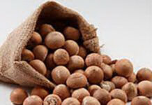 ವೀರಮಂಗಲ: ಕೊಟ್ಟಿಗೆಯಲ್ಲಿಟ್ಟಿದ್ದ 16 ಗೋಣಿ ಅಡಿಕೆ ಕಳವು