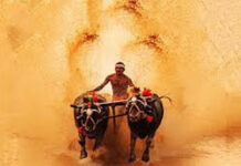 ಕರಾವಳಿ ಜಿಲ್ಲೆ ಹೊರತು ಬೇರೆಡೆ ಕಂಬಳ ಆಯೋಜಿಸದಂತೆ ಸರಕಾರವನ್ನು ನಿರ್ಬಂಧಿಸಲು ಹೈಕೋರ್ಟ್ ನಿರಾಕರಣೆ