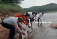 10 ಸಾವಿರ ಮೀನಿನ ಮರಿಗಳು ಕುಮಾರಧಾರ ನದಿಗೆ