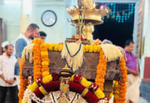 ಪುತ್ತೂರು ಶ್ರೀ ಲಕ್ಷ್ಮೀ ವೆಂಕಟರಮಣ ದೇವಸ್ಥಾನದಲ್ಲಿ ತುಳಸಿಪೂಜೆ