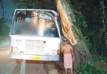 ಉಕ್ಕುಡ: ಕೇರಳ ರಾಜ್ಯ ರಸ್ತೆ ಸಾರಿಗೆ ಬಸ್ ಮರಕ್ಕೆ ಡಿಕ್ಕಿ