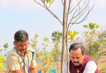 ಅಧಿವೇಶನಕ್ಕೆ ಹೋದಾಗ ತಾನು ನೆಟ್ಟ ಗಿಡವನ್ನು ಪರಿಶೀಲಿಸಿದ ಶಾಸಕ ಅಶೋಕ್ ರೈ