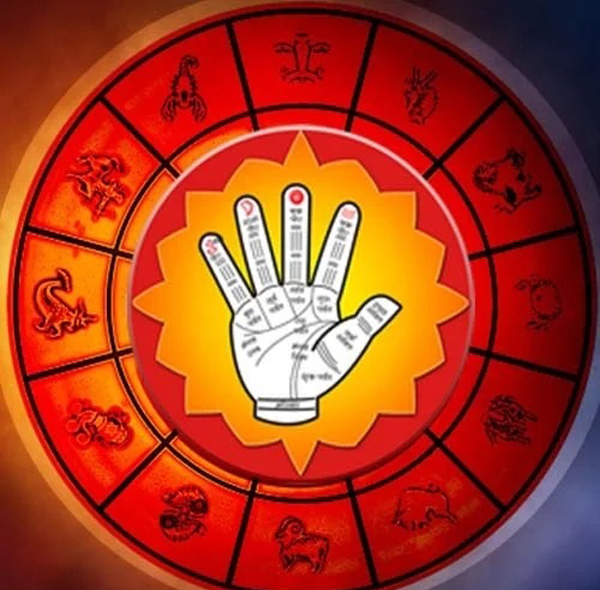 WhatsApp Image 2025-12-12 at 2.31.59 PM