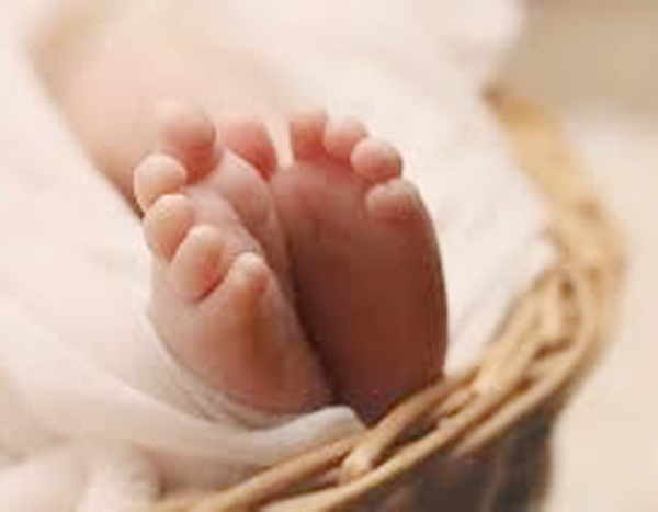 WhatsApp Image 2025-12-12 at 6.11.16 PM