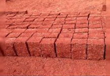 ಸಂಟ್ಯಾರು: ಪರವಾನಿಗೆ ಉಲ್ಲಂಘಿಸಿ ಕೆಂಪುಕಲ್ಲು ಸಾಗಾಟ – ಪ್ರಕರಣ ದಾಖಲು