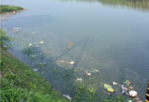 ಉಪ್ಪಿನಂಗಡಿ : ಅಗಾಧ ಪ್ರಮಾಣದಲ್ಲಿ ನದಿಗೆ ಮಲೀನ ನೀರು : ದಿನೇ ದಿನೇ ಕಪ್ಪು ಬಣ್ಣದತ್ತ ಹಿನ್ನೀರು