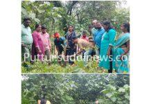 ಉಪ್ಪಳಿಗೆ ಒಕ್ಕೂಟದ ವತಿಯಿಂದ ಪರಿಸರ ಮಾಹಿತಿ- ಸಸಿ ನಾಟಿ ಕಾರ್ಯಕ್ರಮ.