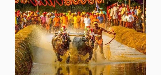 WhatsApp Image 2026-10-16 at 3.58.50 PM